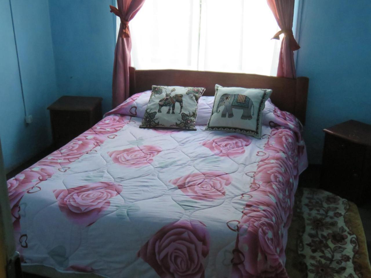 Hostal Y Cabanas Peumayen 瓜达尔港 外观 照片